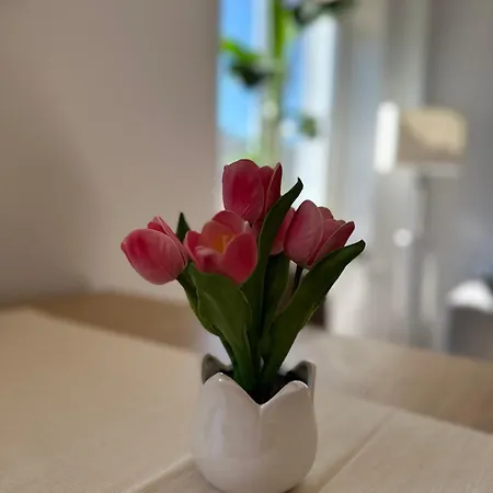 Zatoka Apartman *